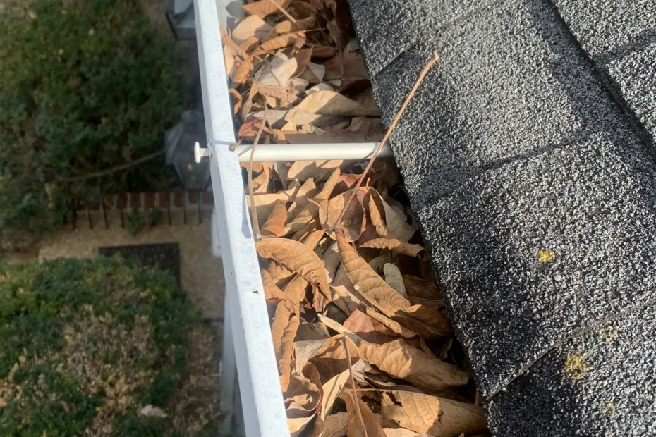 Solvay Gutter Cleaning